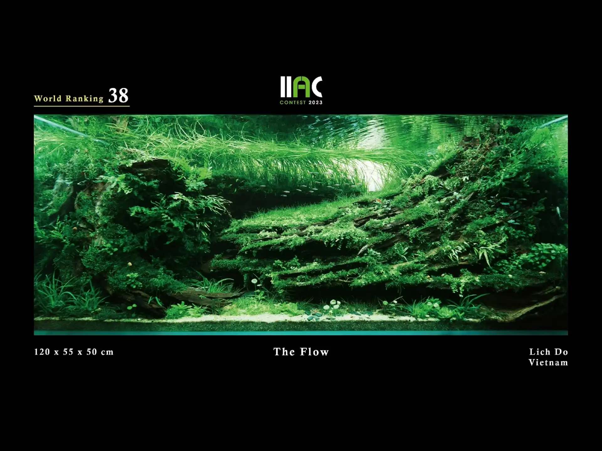 The Flow - IIAC 2023 #38 Lich Do / Vietnam